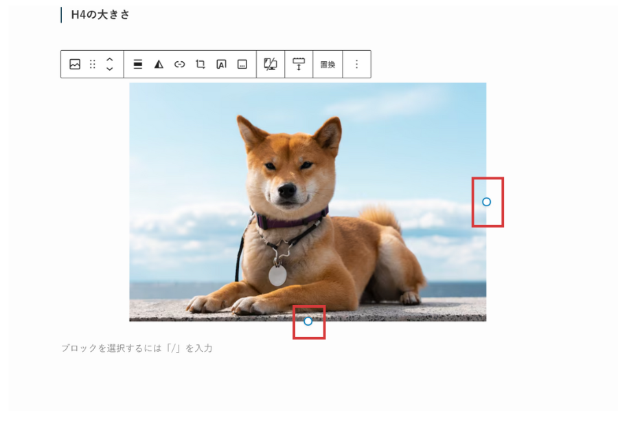 この〇ポチで画像サイズが変えられる。