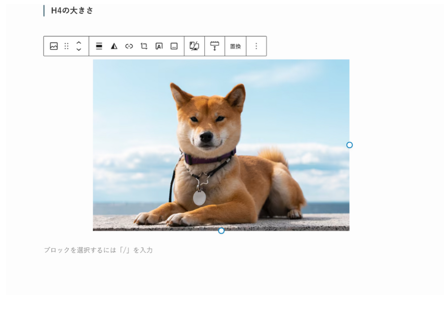 実際に画像をアップしてみる。