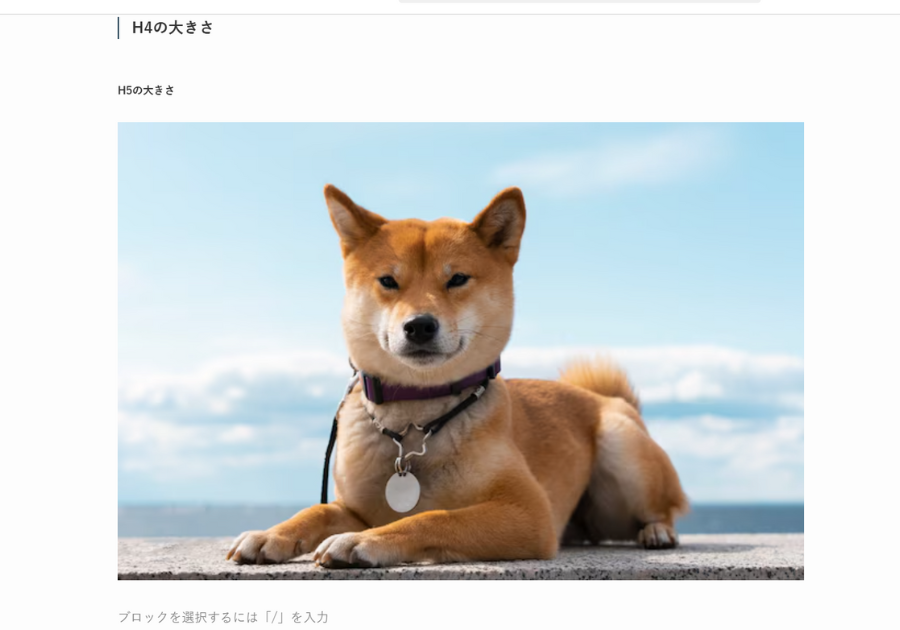 画像サイズ変更後